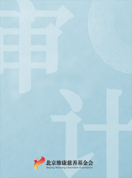 北京维康慈善基金会2025年专项信息审核报告